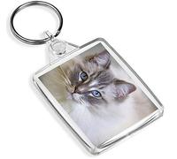Destination Vinyl Keyrings Gorgeous Rag Doll Cat Keyring - IP02 - Feline Friendly Fun 16863