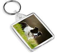 Destination Vinyl Keyrings Playful Border Collie Keyring - IP02 - Sheep Dog Farm Farmer Puppy #8614