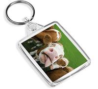 Destination Vinyl Keyrings Silly Cow Keyring Cattle Farm Animal Funny Cows Fun Keyring #12444