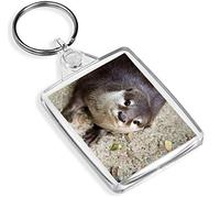 Destination Vinyl Keyrings Small Clawed Otter Keyring -IP02- Wild Animal Oriental #16432