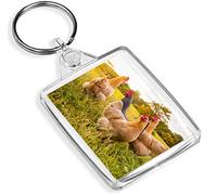 Destination Vinyl Keyrings Wild Chickens Animal Farm Keyring - IP02 - Nature Outdoor #16908