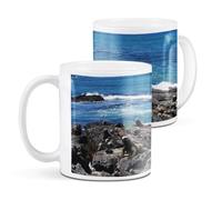 Destination Vinyl ltd 1 White Ceramic Mug Cup (11oz / 284ml) Galapagos Marine Iguanas Lizard Reptile for Coffee Tea Drinks Kitchen Office #50987