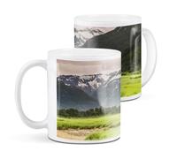 Destination Vinyl ltd 1 White Ceramic Mug Cup (11oz / 284ml) Grizzly Bear Alaska Wild Animal for Coffee Tea Drinks Kitchen Office #52936