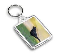 Destination Vinyl ltd 1 x IP02 Rectangle Passport Keyring Photo Cute Blackbird Songbird Bird Garden |Keychain|Keyring|Charm| #52755