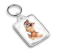 Destination Vinyl ltd 1 x IP02 Rectangle Passport Keyring Photo Cute Chihuahua Puppy Sleeping Dog |Keychain|Keyring|Charm| #50653