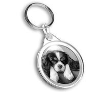 Destination Vinyl Ltd 1 x Photo Keyring - Cavalier King Charles Spaniel Dog |Keychain|Keyring|Charm| #35148