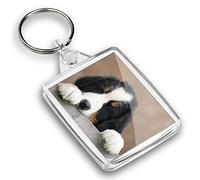 Destination Vinyl Ltd 1 x Photo Keyring - Cute Bernese Mountain Dog Puppy |Keychain|Keyring|Charm| #44758
