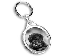 Destination Vinyl ltd 1 x Photo Keyring - Cute Rottweiler Puppy Dog |Keychain|Keyring|Charm| #38634