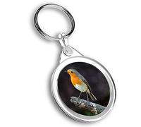 Destination Vinyl ltd 1 x Photo Keyring - European Robin British Bird |Keychain|Keyring|Charm| #44980