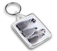 Destination Vinyl ltd 1 x Photo Keyring - Five Emperor Penguin Chicks Antarctica |Keychain|Keyring|Charm| #45027