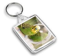 Destination Vinyl ltd 1 x Photo Keyring - Green Budgie Budgerigar Parrot |Keychain|Keyring|Charm| #45220