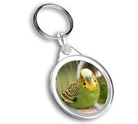 Destination Vinyl Ltd 1 x Photo Keyring - Green Budgie Budgerigar Parrot |Keychain|Keyring|Charm| #45220