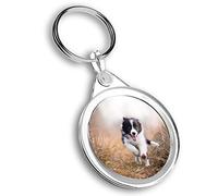 Destination Vinyl Ltd 1 x Photo Keyring - Happy Border Collie Puppy Dog |Keychain|Keyring|Charm| #45286