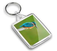 Destination Vinyl ltd 1 x Photo Keyring - Kingfisher Blue Small Bird |Keychain|Keyring|Charm| #45471