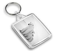 Destination Vinyl ltd 1 x Photo Keyring - Mum & Cubs Polar Bear Baby Animal |Keychain|Keyring|Charm| #40934