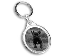 Destination Vinyl ltd 1 x Photo Keyring - Playful Black Pug Dog Puppy Running |Keychain|Keyring|Charm| #37635