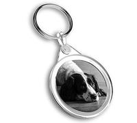 Destination Vinyl Ltd 1 x Photo Keyring - Springer Spaniel Dog Puppy Animals |Keychain|Keyring|Charm| #41405