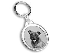 Destination Vinyl Ltd 1 x Photo Keyring - Staffordshire Bull Terrier Dog Staffie |Keychain|Keyring|Charm| #43396
