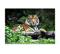 Destination Vinyl ltd 1x Art Print 6x4 Bengal Tiger Big Cat Wild Animal Greeting Mini Poster 15 X 10 cm 280gsm Satin Gloss Photo Paper #50238