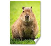 Destination Vinyl Ltd 1x Poster A4 - Funny Moody Capybara Animal Vertical (Portrait) Art Print 21 X 29.7 cm 280gsm Satin Gloss Photo Paper #50976