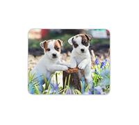 Destination Vinyl Ltd Adorable Jack Russell Puppies Mouse Mat Pad - Dog Puppy PC Computer #8763