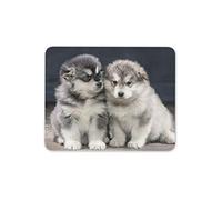 Destination Vinyl Ltd Alaskan Malamute Puppies Mouse Mat Pad - Husky Dog Puppy Computer #16237