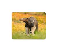 Destination Vinyl Ltd Ant Eater Wild Animal Zoo Friends Mouse Mat Pad - Fun WWE Computer #14664