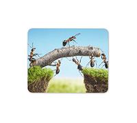 Destination Vinyl Ltd Ant Team Building Together Mouse Mat Pad - Bridge Hive Mind Computer #16052