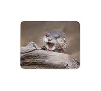 Destination Vinyl Ltd Baby Otter Mouse Mat Pad - Wild Animal Nature Cute Funny Computer #16433