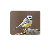 Destination Vinyl Ltd Beautiful Blue Tit Mouse Mat Pad - Bird Wildlife Pretty Fun Computer #15773