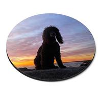 Destination Vinyl ltd Beautiful Irish Water Spaniel Dog Flexible Round 5mm Rubber Mouse Mat Pad Office Home Novelty Printed Desk Accessory #50213