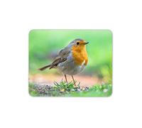 Destination Vinyl Ltd Beautiful Red Robin Mouse Mat Pad - Pretty Bird Christmas Computer #15509