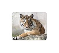 Destination Vinyl Ltd Beautiful Tiger Mouse Mat Pad - Wild Cat Lion Safari PC Computer #8608