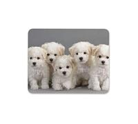 Destination Vinyl Ltd Bichon Frise Puppies Mouse Mat Pad - Dog Puppy Cute Pet Fun Computer #15566