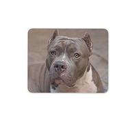 Destination Vinyl Ltd Blue American Pit Bull Terrier Mouse Mat Pad - Staffie Dog Computer #15635