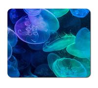 Destination Vinyl Ltd Blue Green Jellyfish Mouse Mat Pad - Jelly Fish Water PC Computer Desk Accessory Underwater Scuba Sea Beach Holiday Tropical Adults Kids Vibrant Colourful Workspace #8379