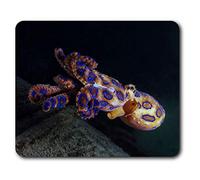 Destination Vinyl Ltd Blue Ringed Octopus Ocean Sea Mouse Mat Pad Computer PC Laptop Gaming Office Home Desk Accessory Gadget 2208