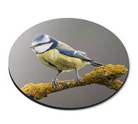 Destination Vinyl Ltd Blue Tit Bird Small English Garden Birds - Flexible Round 5mm Rubber Mouse Mat Pad Office Home Novelty Printed Desk Accessory 16226