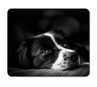 Destination Vinyl Ltd Border Collie Mouse Mat Pad - Puppy Farm Sheep Dog Farmer Computer #8639