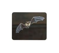 Destination Vinyl Ltd British Pipistrelle Flying Bat Mouse Mat Pad - Carnivore Computer #15730