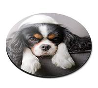 Destination Vinyl Ltd Cavalier King Charles Spaniel Dog - Flexible Round 5mm Rubber Mouse Mat Pad Office Home Novelty Printed Desk Accessory 12388