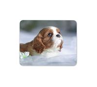 Destination Vinyl Ltd Cavalier King Charles Spaniel Mouse Mat Pad - Puppy Dog Fun Computer #12505
