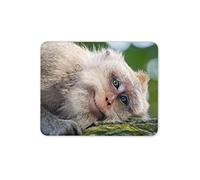 Destination Vinyl Ltd Cheeky Monkey Mouse Mat Pad - Wild Animal Jungle Nature Fun Computer #15492