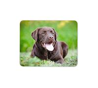 Destination Vinyl Ltd Chocolate Labrador Mouse Mat Pad - Dog Puppy Cute Pet Computer #15829