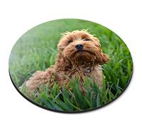 Destination Vinyl Ltd Cockapoo Puppy Dog Flexible Round 5mm Rubber Mouse Mat Pad Office Home Novelty Printed Desk Accessory #50557