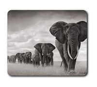 Destination Vinyl Ltd Comfortable Mouse Mat - African Elephant Herd 23.5 x 19.6 cm (9.3 x 7.7 inches) for Computer & Laptop, Office, Non-slip Base - RM8955