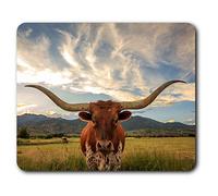 Destination Vinyl Ltd Comfortable Mouse Mat - Texas Longhorn Cow American 23.5 x 19.6 cm (9.3 x 7.7 inches) for Computer & Laptop, Office, Non-slip Base - RM14569