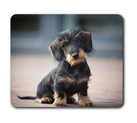 Destination Vinyl Ltd Comfortable Mouse Mat - Wire Haired Dachshund Puppy 23.5 x 19.6 cm (9.3 x 7.7 inches) for Computer & Laptop, Office, Non-slip Base - RM2730