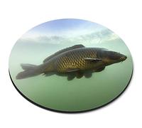 Destination Vinyl ltd Common Carp Fish River Fishing Flexible Round 5mm Rubber Mouse Mat Pad Office Home Novelty Printed Desk Accessory #50589