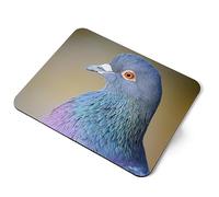 Destination Vinyl ltd Common Feral Pigeon Rock Dove Flexible Rectangle 5mm Rubber Mouse Mat Pad Office Home Novelty Printed Desk Accessory #63064